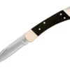 Buck Knives The 110 Folding Hunter Knife