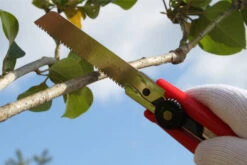 Gyokucho Cutter Saw For Green Wood -Outdoor Sports Equipment Store 1579947536