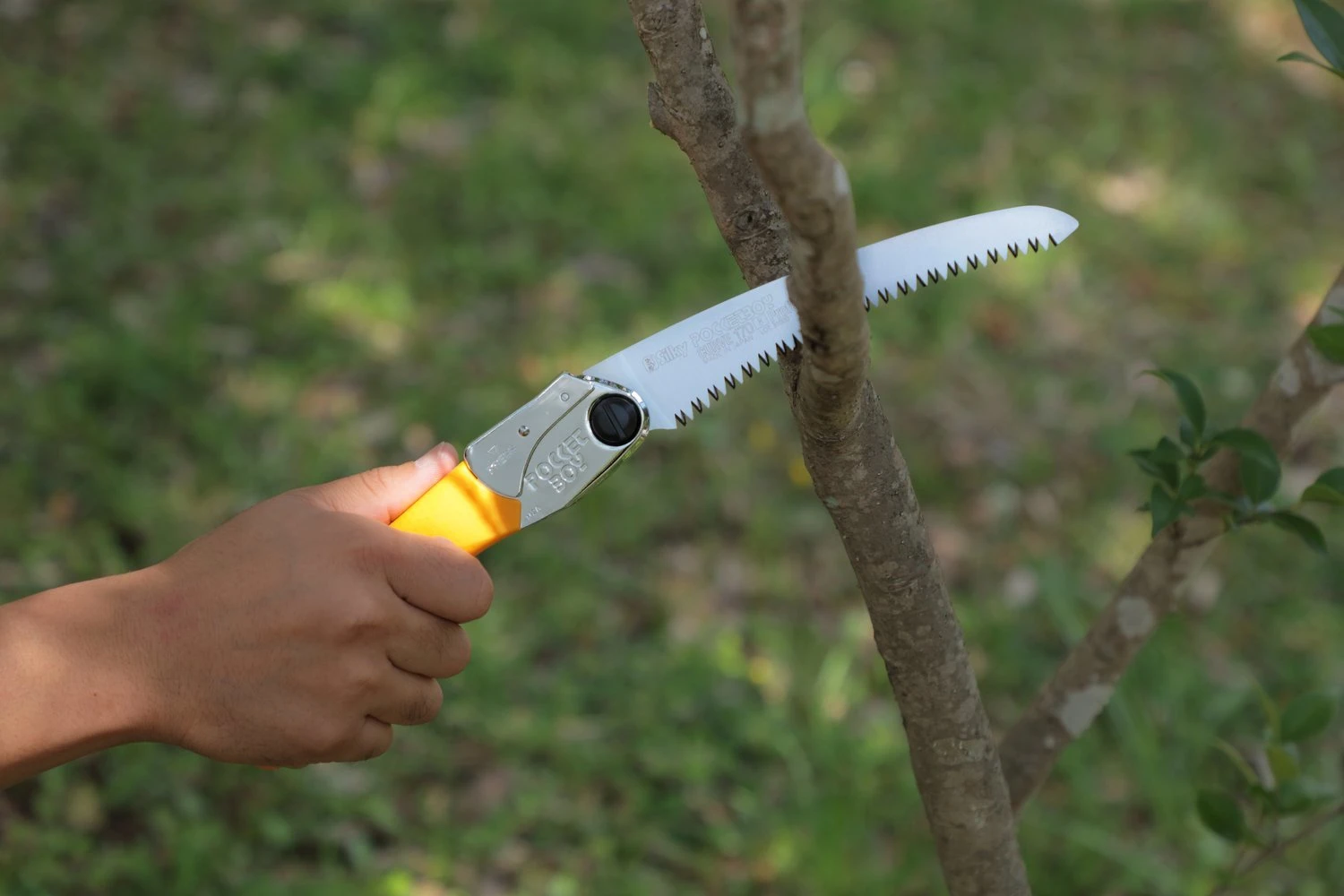 Silky Pocketboy Curve Professional 170 5 Silky Pocketboy Curve Professional 170 - Image 5