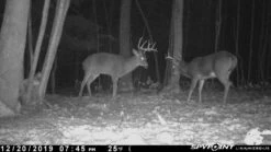 Spypoint Link-Micro-LTE Cellular Trail Camera (Twin Pack) -Outdoor Sports Equipment Store 80388887 10218763357769000 5071185525541437440 n f9605a04 2016 48df 9b74 8b65105007aa