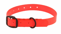 Avery Sporting Dog Cut-To-Fit Collar