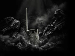 SpyPoint LM2 Cellular Trail Camera 6 SpyPoint LM2 Cellular Trail Camera -Outdoor Sports Equipment Store Master Visual LM2 1600.jpg Good2goco