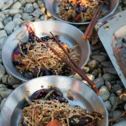 Primus Campfire Plate S/S -Outdoor Sports Equipment Store P738011 CampfirePlate LisaLowenborg DSC06336