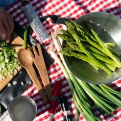 Primus Campfire Bowl S/S -Outdoor Sports Equipment Store P740810 CampfireBowl LisaLowenborg DSC05565 2018