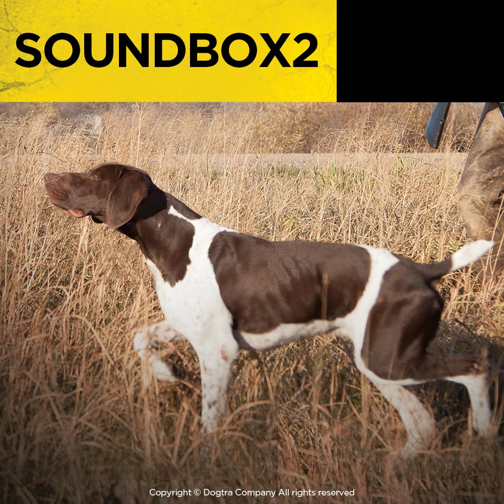 Dogtra Sound Box 2 4 Dogtra Sound Box 2 - Image 4