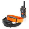 Dogtra 1902S 2-Dog Training System