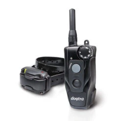 Dogtra 200C Training System