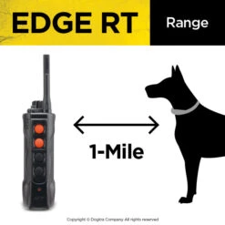 Dogtra Edge RT Training System -Outdoor Sports Equipment Store PRODUCT IMG593MAR
