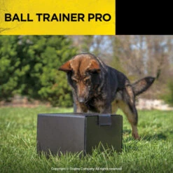 Dogtra Ball Trainer Pro -Outdoor Sports Equipment Store PRODUCT IMG787MAR