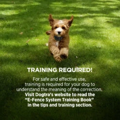 Dogtra 3500 E-Fence -Outdoor Sports Equipment Store PRODUCT IMG932MAR