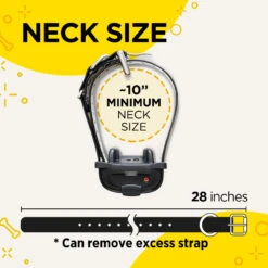 Dogtra IQ Mini Training System 10 Dogtra IQ Mini Training System -Outdoor Sports Equipment Store PRODUCT IMG944MAR