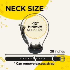 Dogtra IQ Plus Training System -Outdoor Sports Equipment Store PRODUCT IMG947MAR