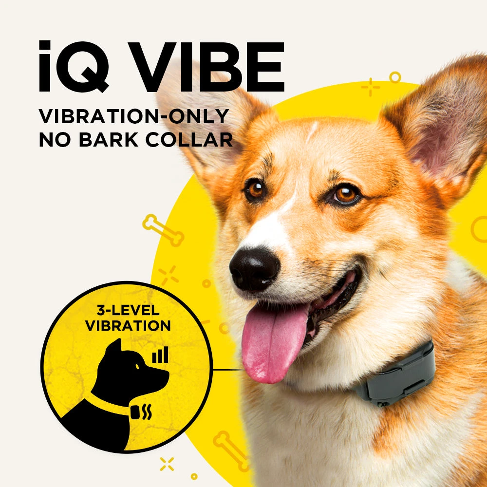Dogtra IQ Vibe No Bark Collar 2 Dogtra IQ Vibe No Bark Collar - Image 2