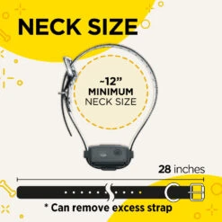 Dogtra IQ Vibe No Bark Collar 11 Dogtra IQ Vibe No Bark Collar -Outdoor Sports Equipment Store PRODUCT IMG952MAR