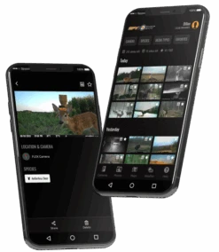 SpyPoint LM2 Cellular Trail Camera 7 SpyPoint LM2 Cellular Trail Camera -Outdoor Sports Equipment Store floating phone FLEX.png Good2goco