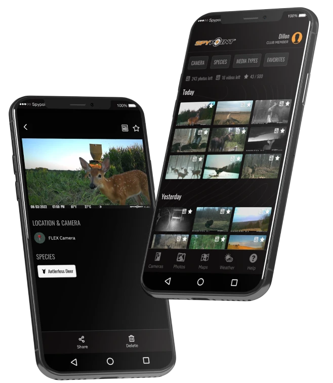 SpyPoint LM2 Cellular Trail Camera 4 SpyPoint LM2 Cellular Trail Camera - Image 4