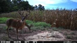 SpyPoint Flex Cellular Trail Camera -Outdoor Sports Equipment Store large 6308dc7137cdf.jpeg Good2goco