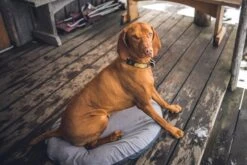 Klymit Moon Dog Bed -Outdoor Sports Equipment Store pf 04628cc4 KlymitMoonDogBedMedium06MDGY01DLS02812x542