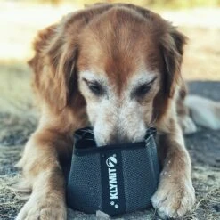 Klymit Travel Dog Bowl -Outdoor Sports Equipment Store pf dae1bc8b KlymitDogBowl12DGDB01CLS031100x1100 Good2goco